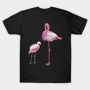 Flamingo Bird T-Shirt